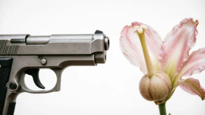 Pistol vs Pistil